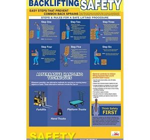 Backlifting Safety 18" x 24" Poster