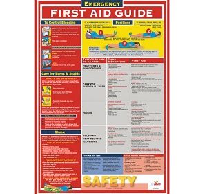 First Aid Guide 18" x 24" Poster