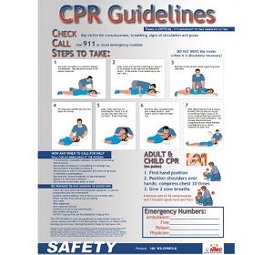 CPR Guidelines 18" x 24" Poster